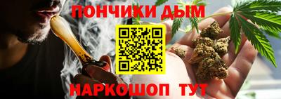 мдпв Обь