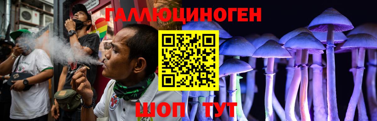 Галлюциногенные грибы прущие грибы  Вход с VPN  Саянск 